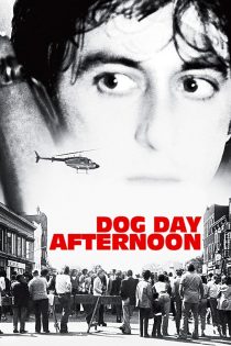 دانلود فیلم Dog Day Afternoon 1975