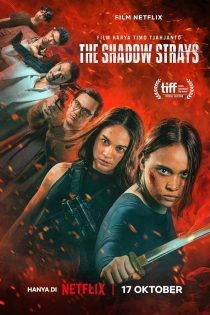 دانلود فیلم The Shadow Strays 2024